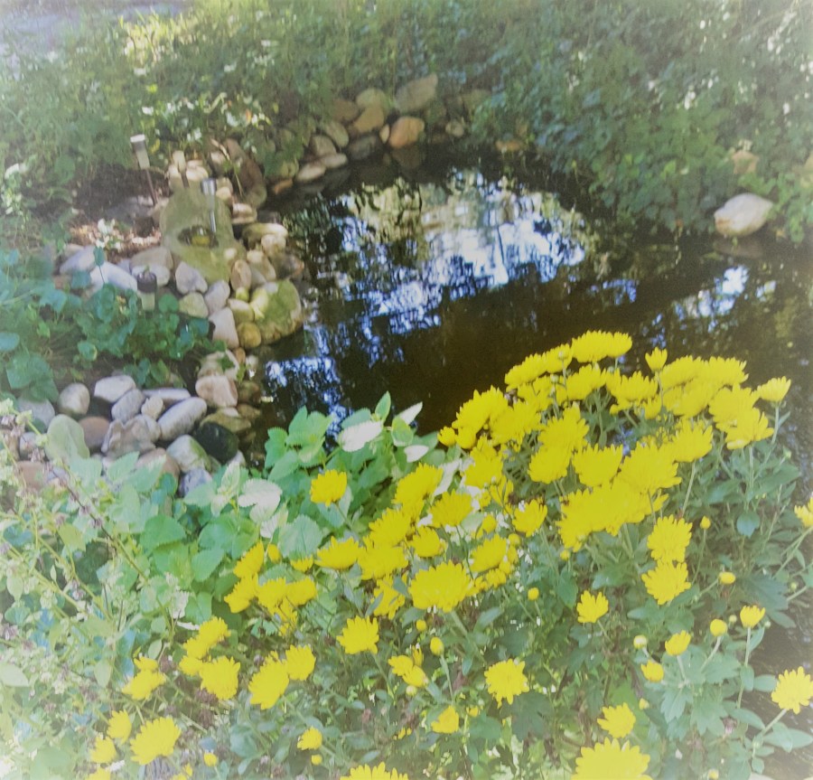 on the last day of my sabbatical…