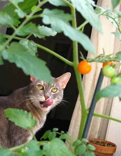 One of the best trips of my sabbatical…